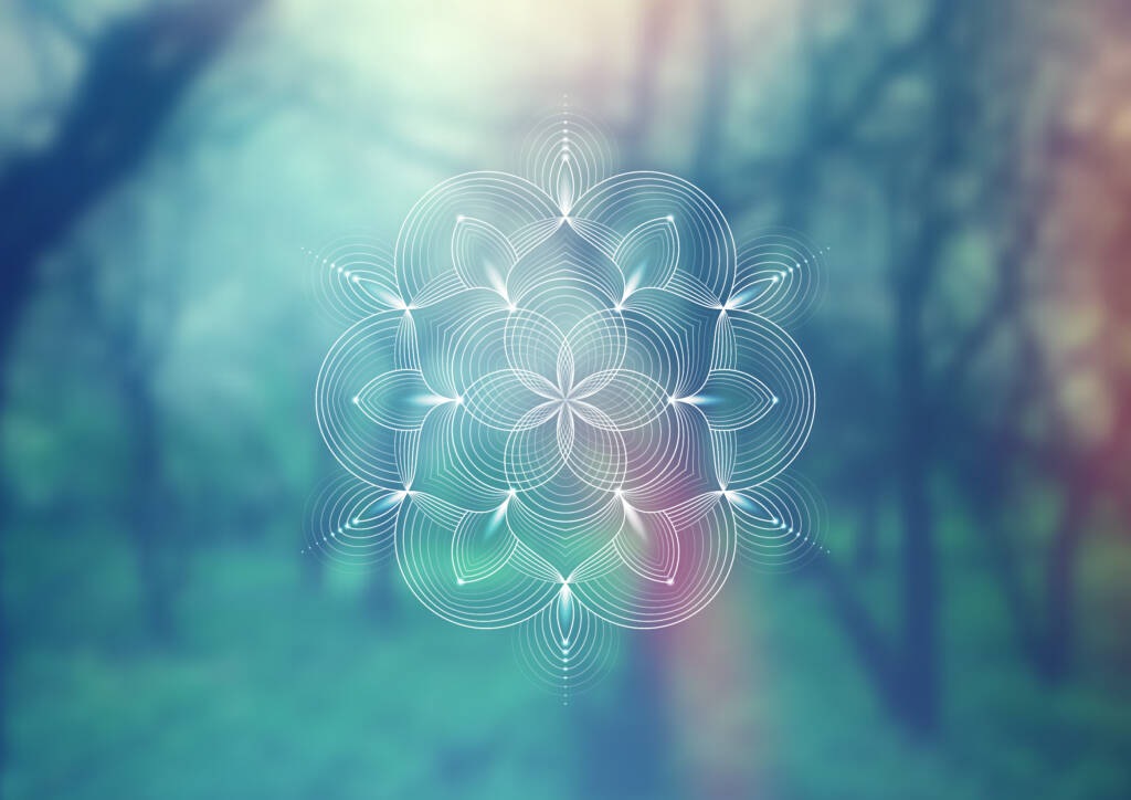 Experience the Shift